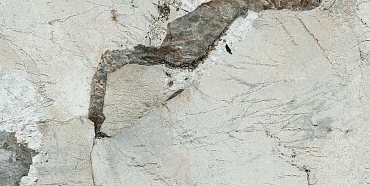 Керамогранит Pamesa Patagonia Satin White (saten) Rect. 60x120